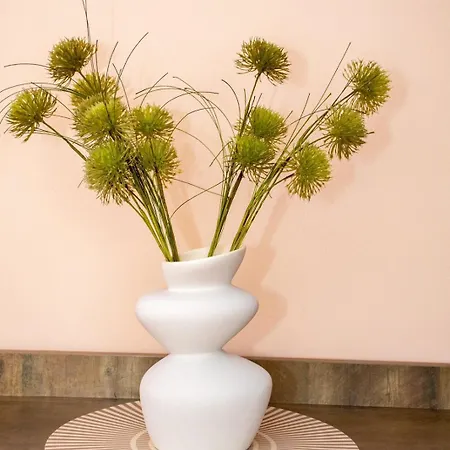 зорница Maison d'hôtes Bansko