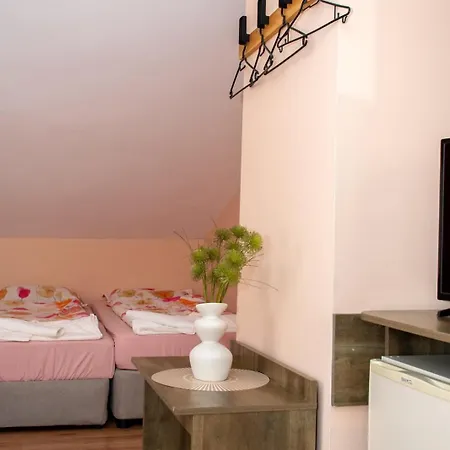 зорница Maison d'hôtes Bansko