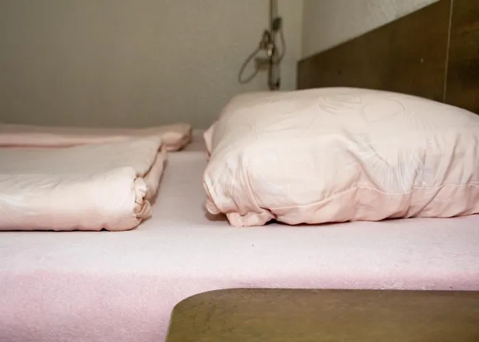 зорница 班斯科