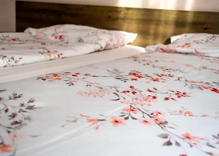 зорница 招待所