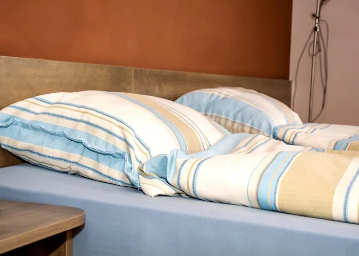 зорница 班斯科