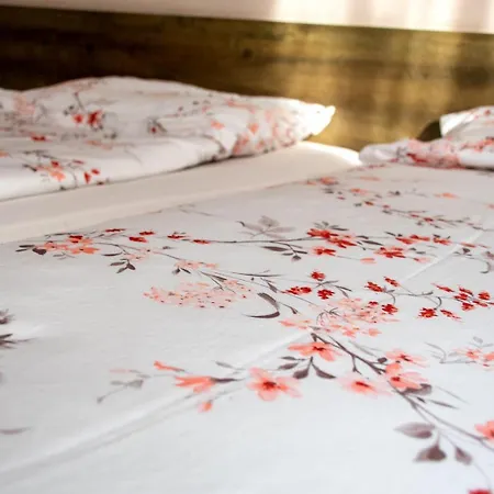 зорница Guest house