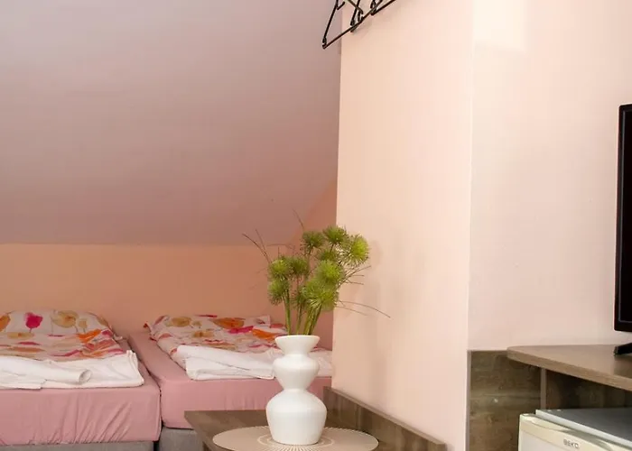 зорница Guest house Bansko